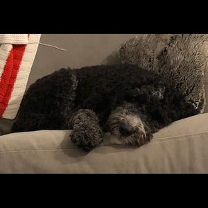 Meet your Posher, Sari